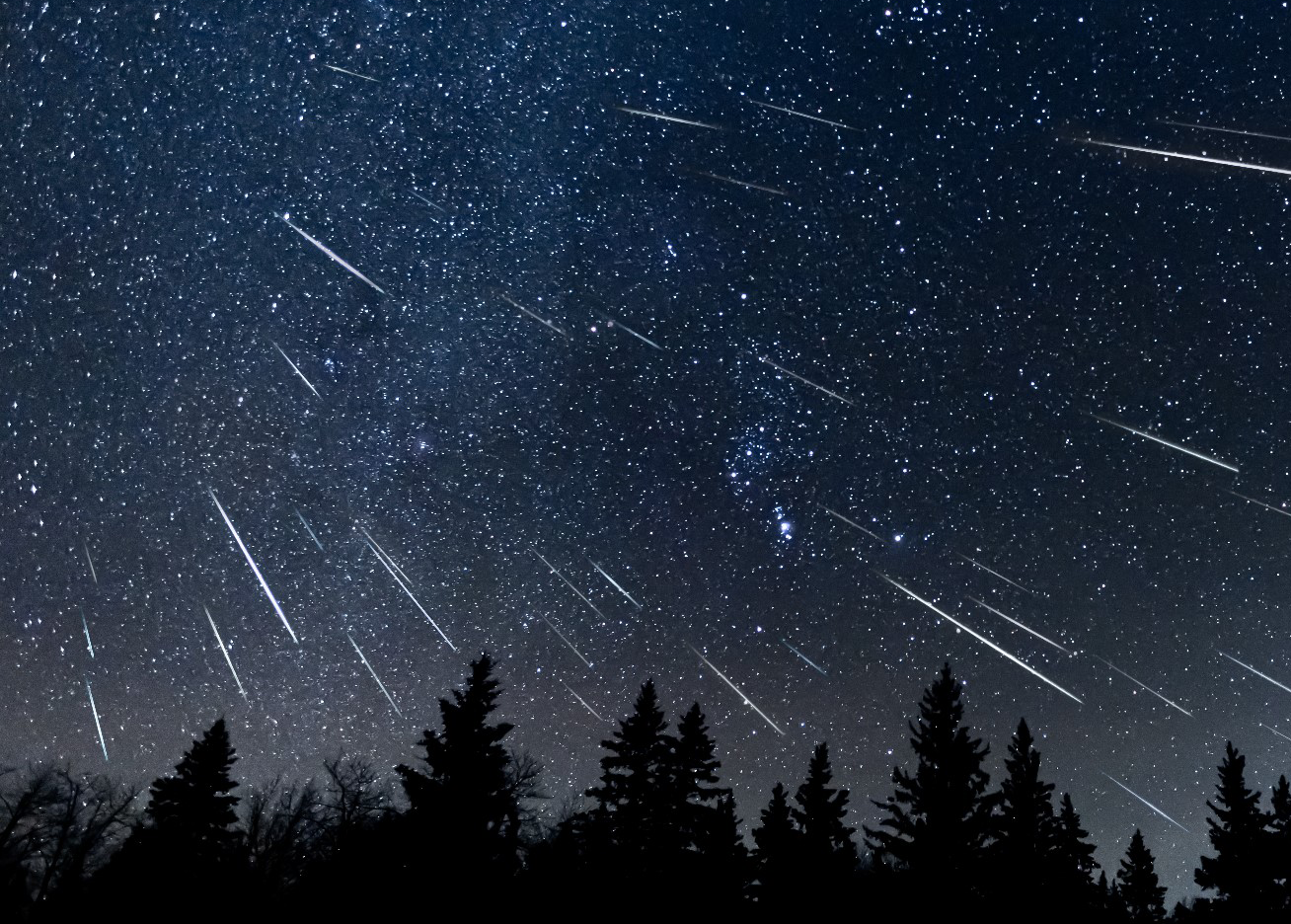 Starry Party in January Join the Quadrantid Meteor Shower 2024