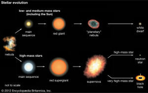 Stellar Evolution- From Birth to Supernova