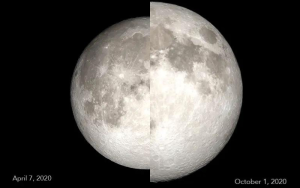Half moon and supermoon comparison for size scale