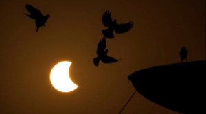 partial solar eclipse of march 2025, solar eclipse 2025, stargazing mumbai