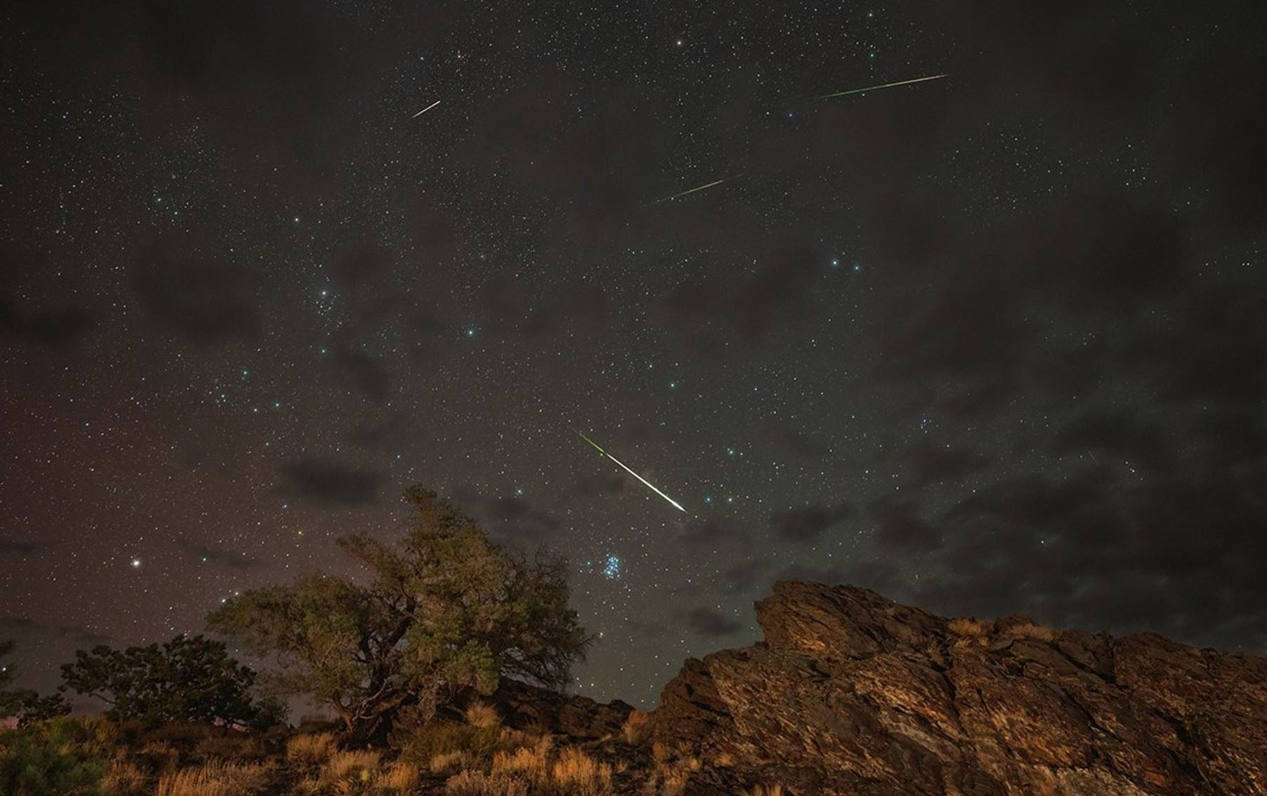Perseids 2026
