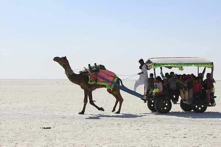 Astro tour at Rann of Kutch