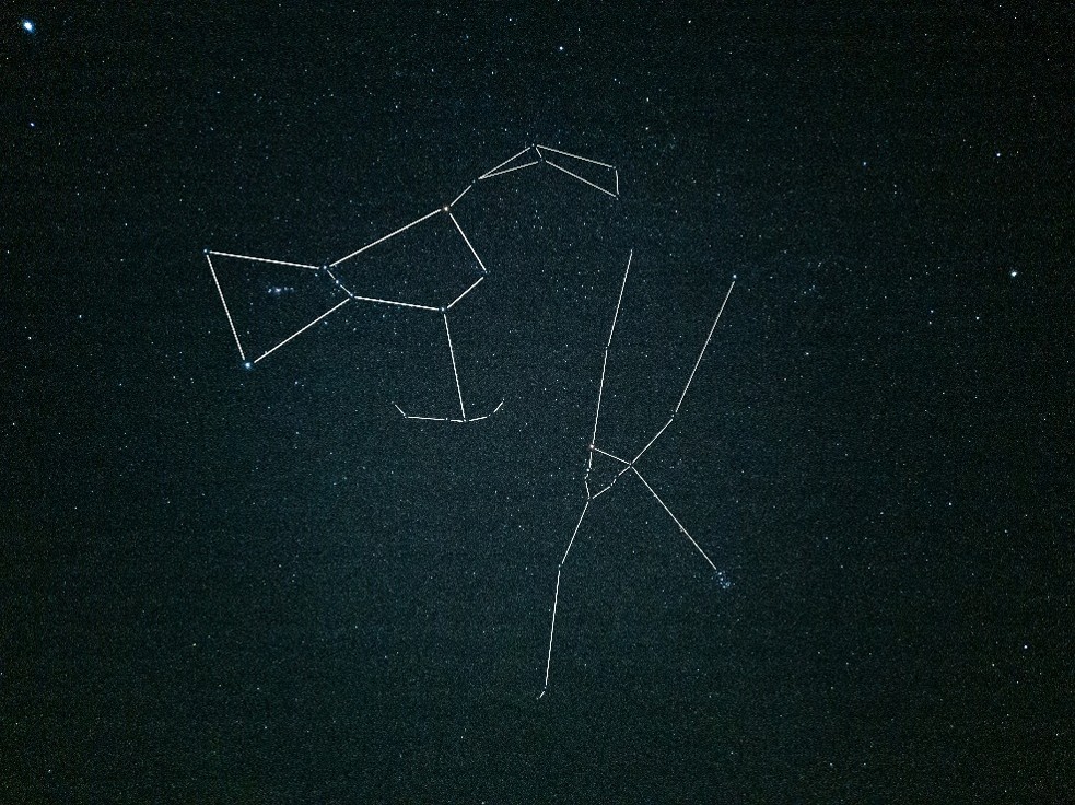 The Orion Constellation, captured from the Bhandardara observation site of Stargazing Mumbai