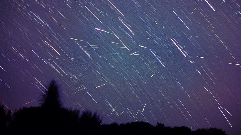 This time-exposure image shows Leonid meteors as streaks contrasting with the curved tracks of star trails created by the Earth's rotation. 